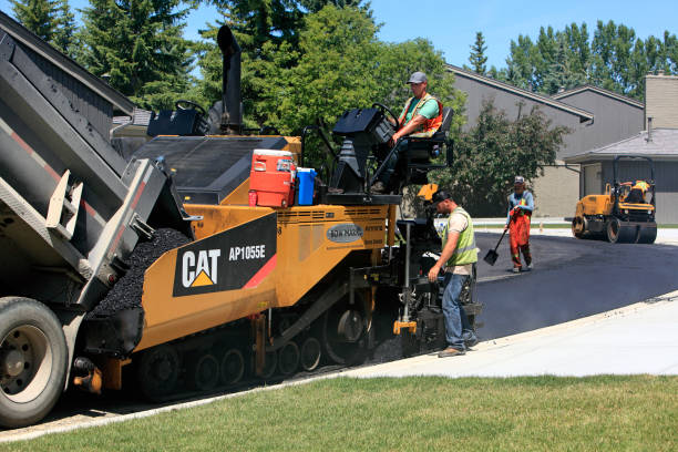 Best Decorative Driveway Pavers  in Lake Magdalene, FL